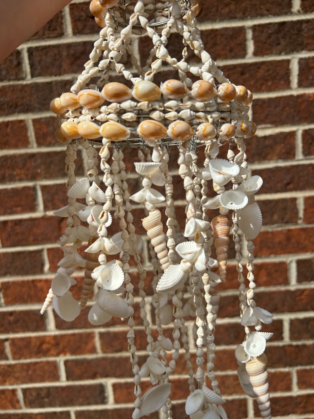 Shell chandelier - Picture 9 of 16
